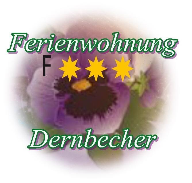 Ferienwohnung Dernbecher ساربروكن المظهر الخارجي الصورة